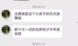 鸽子朋友爆料视频播放,揭秘幕后真相